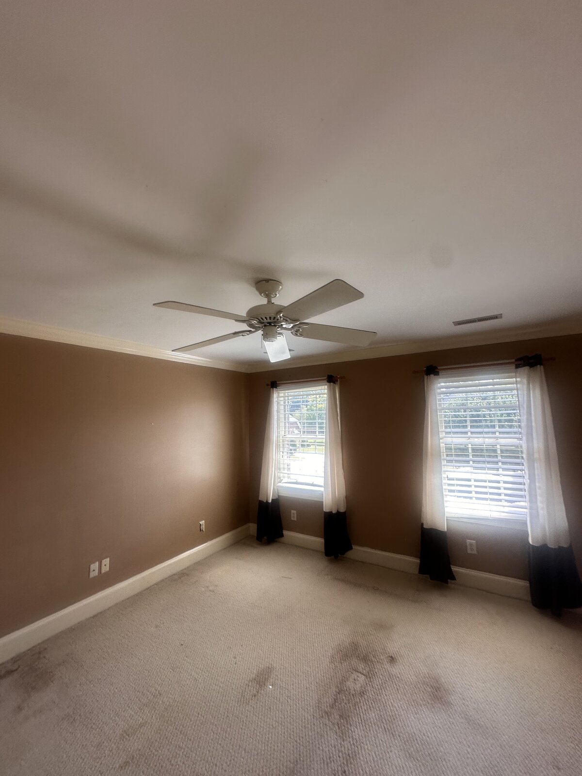 Before: bedroom with stained carpet and brown walls
